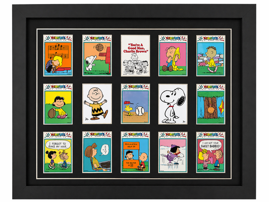 Peanuts 15 Card Display
